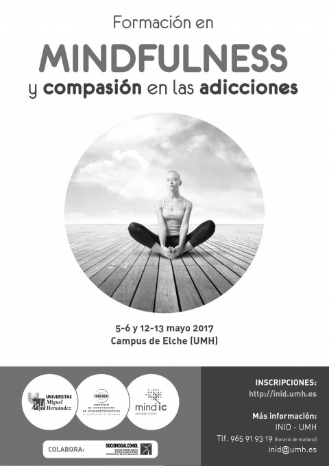 Curso de Perfeccionamiento. MINDFULNESS