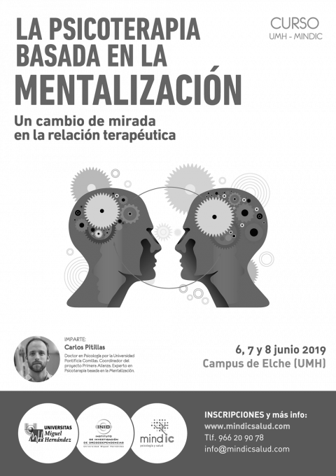 Curso La Psicoterapia basada en la mentalización