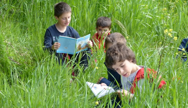 Niños leyendo en verano