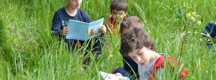 Niños leyendo en verano