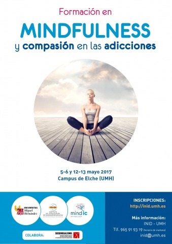 Curso de Perfeccionamiento. MINDFULNESS