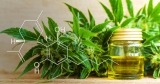 CBD Cannabidiol